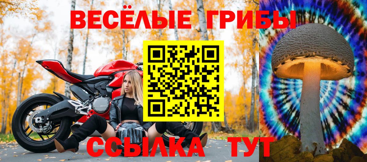 Бийск  Галлюциногенные грибы прущие грибы  Вход с VPN 