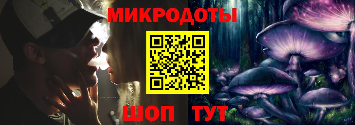 Псилоцибиновые грибы Psilocybe Бийск